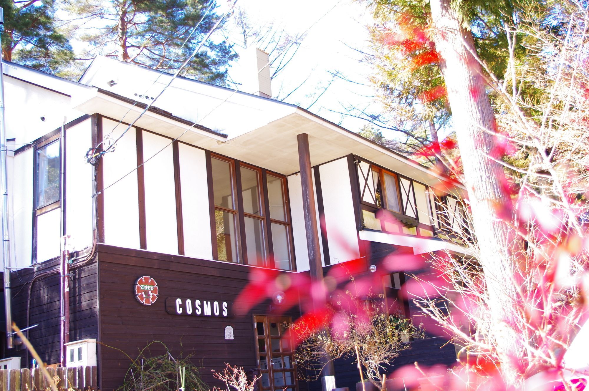 Forest Resort Cosmos Fujikawaguchiko Exterior photo